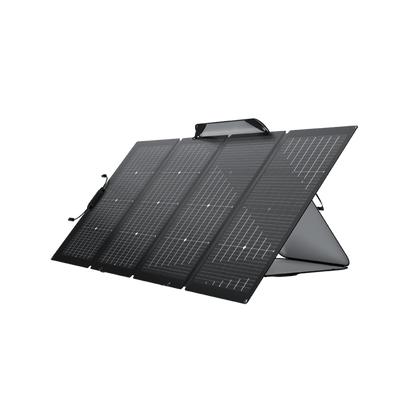 Panel Solar 220W